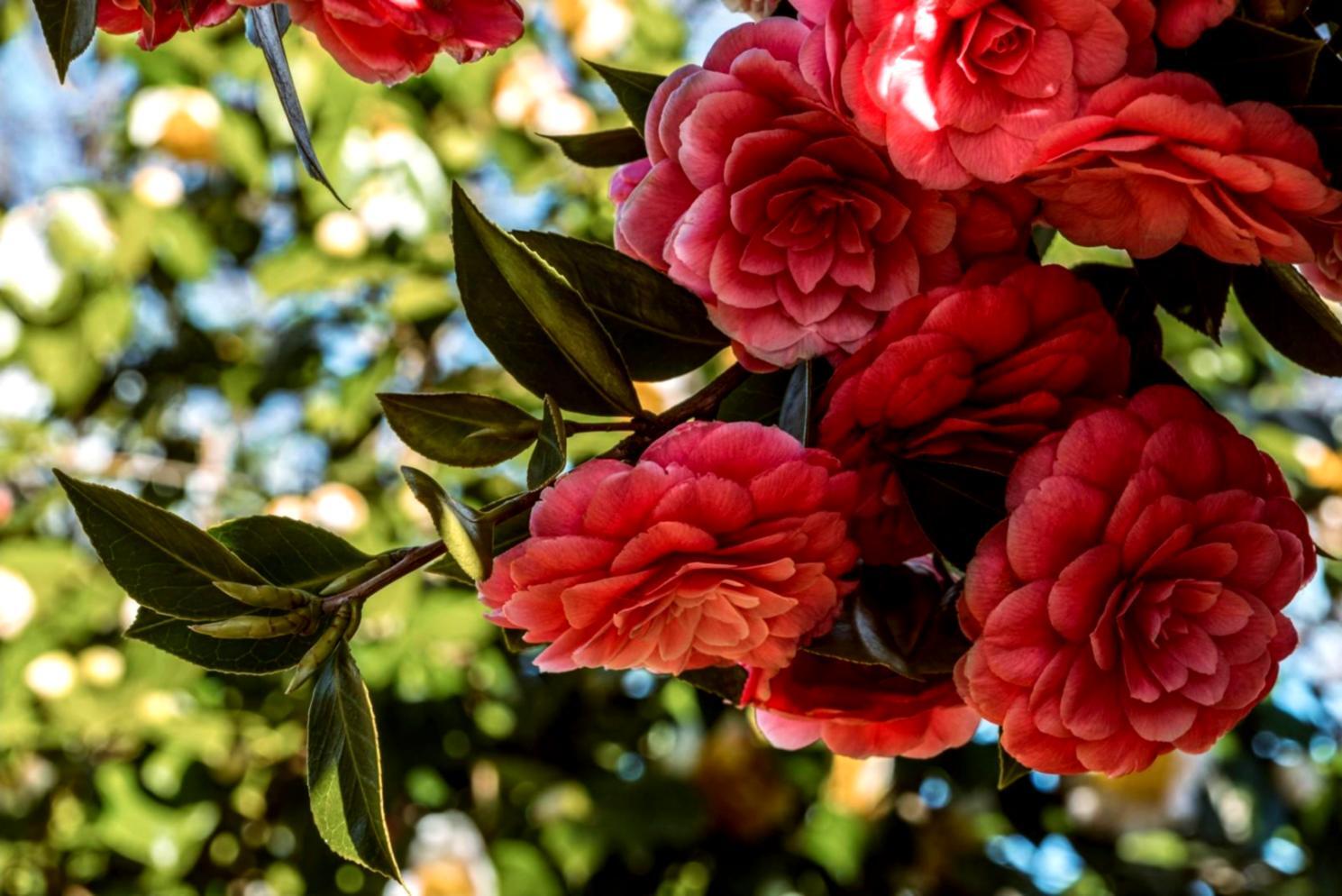 Seasonal floral arrangement showcasing autumn textures and warm colors