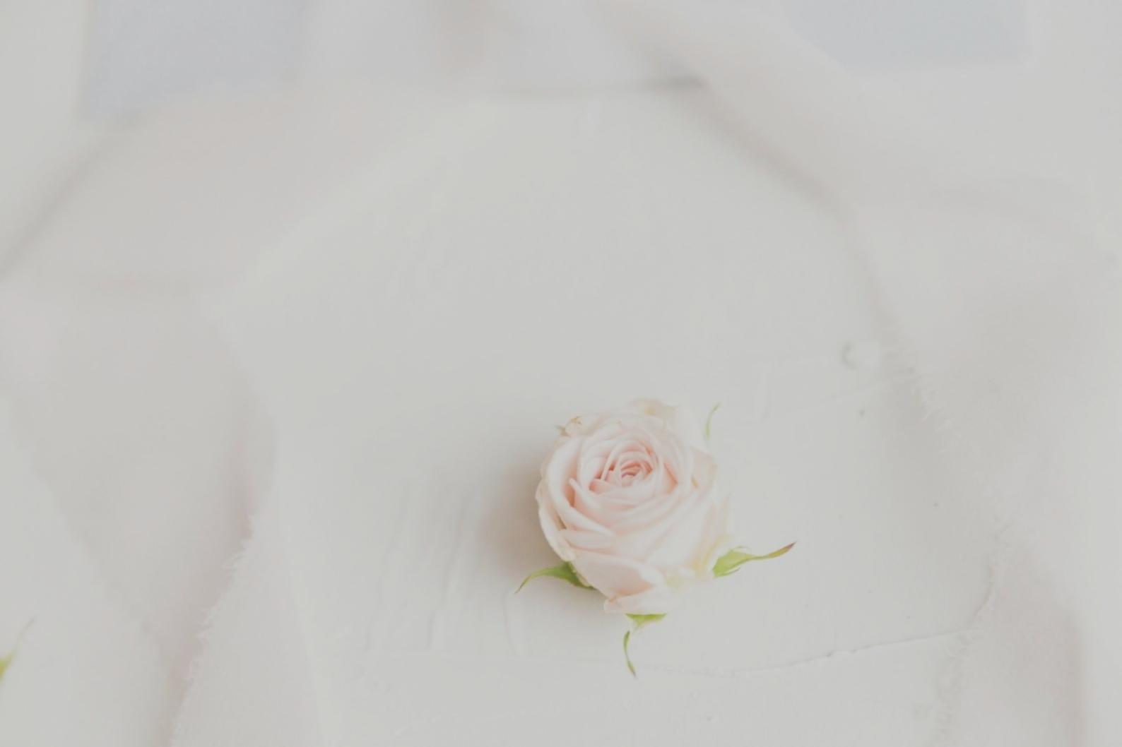 Detailed view of seasonal flower selection process