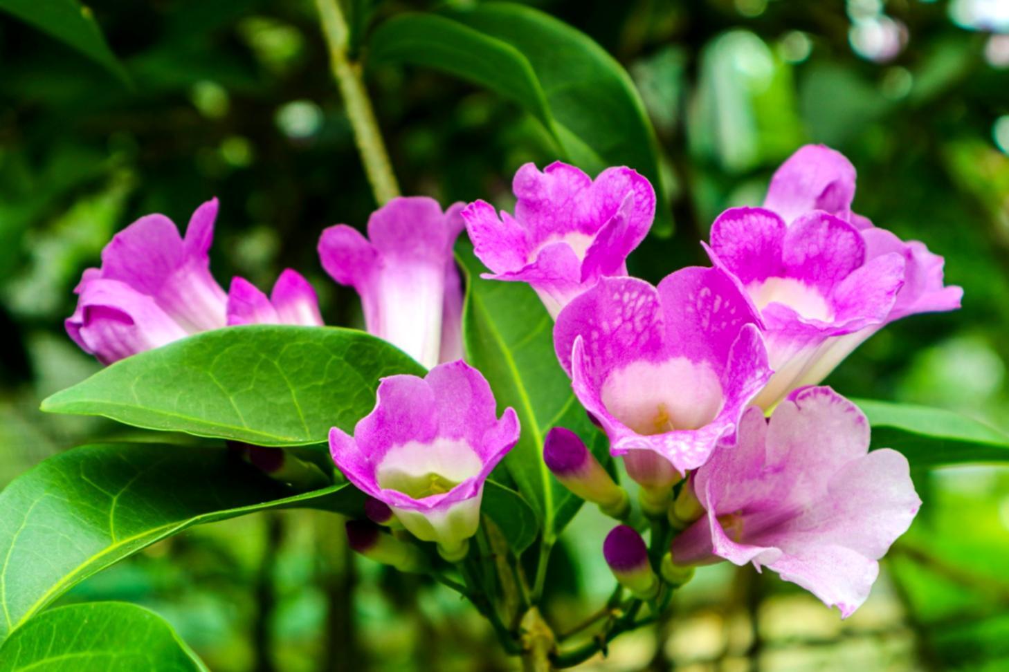 Professional floral arrangement in progress