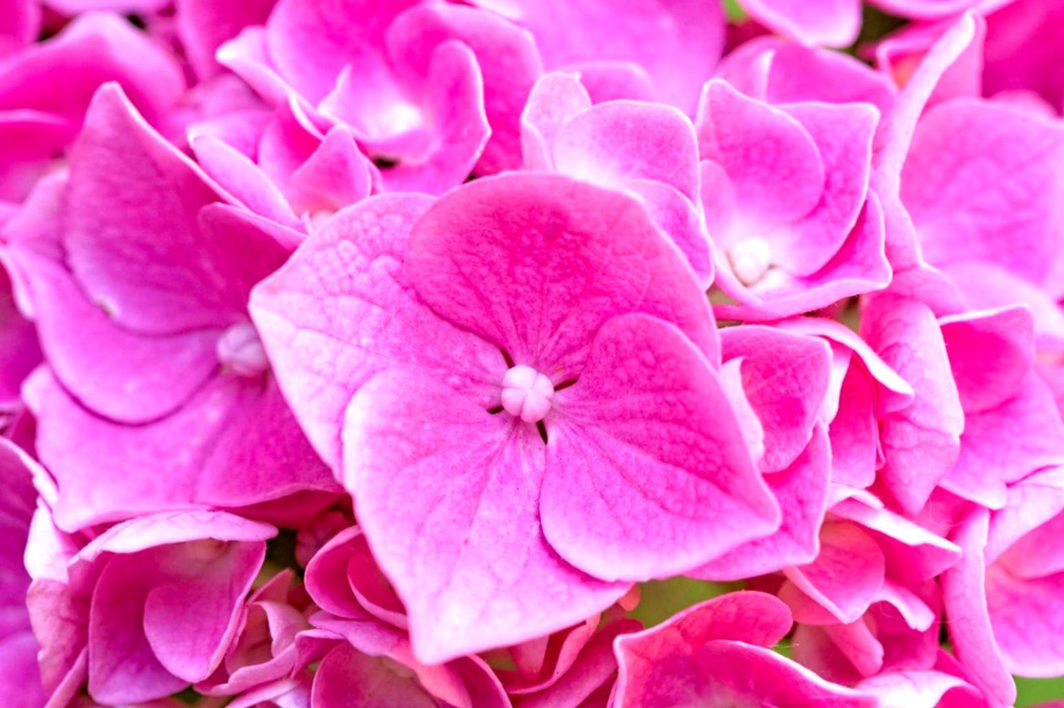 Artistic floral arrangement showcasing seasonal composition techniques and natural design elements